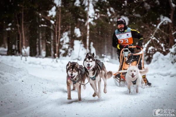Reportážní fotografie